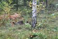 IMG_5162