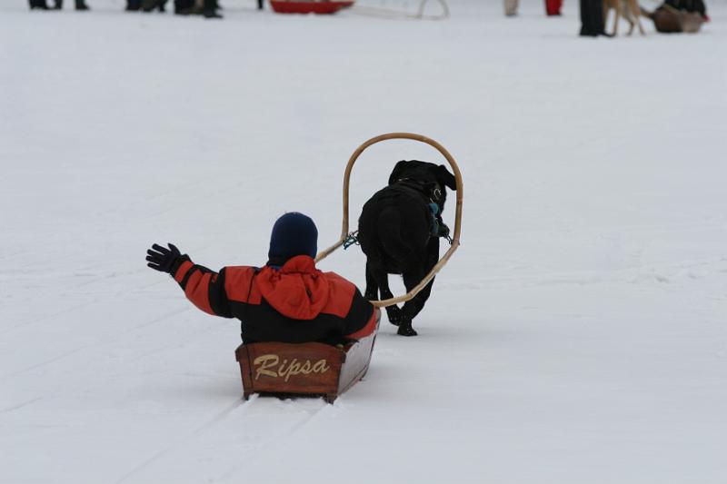 IMG_5795.JPG