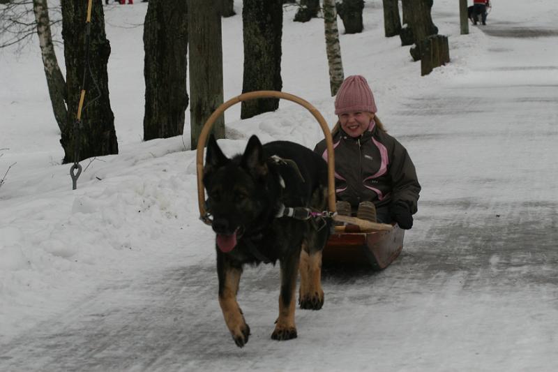 IMG_5991.JPG