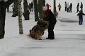 IMG_5985