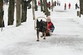 IMG_5992