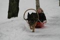 IMG_6018